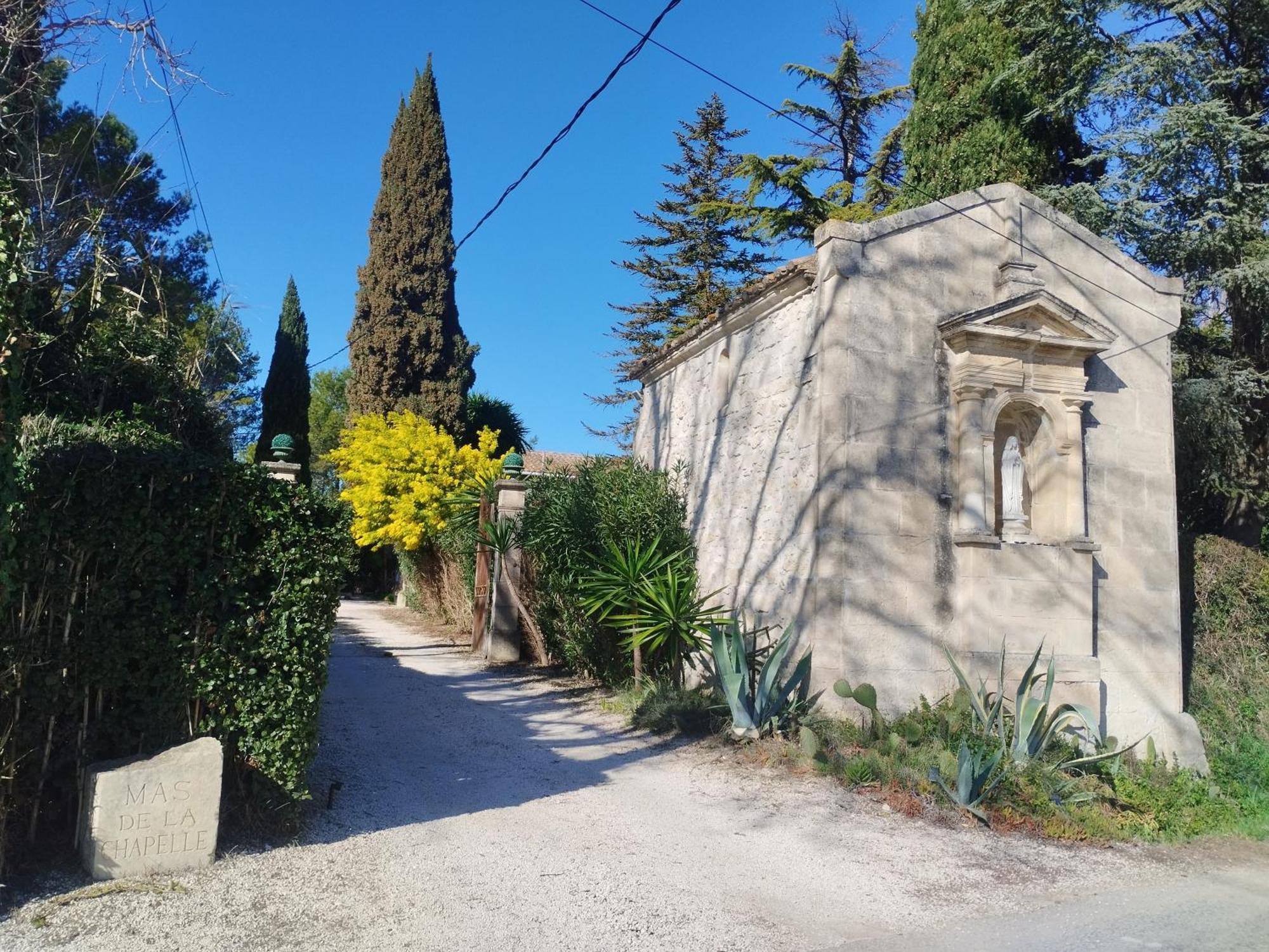 Mas De La Chapelle Sainte-Elisabeth Villa ตาฮาสคอง ภายนอก รูปภาพ