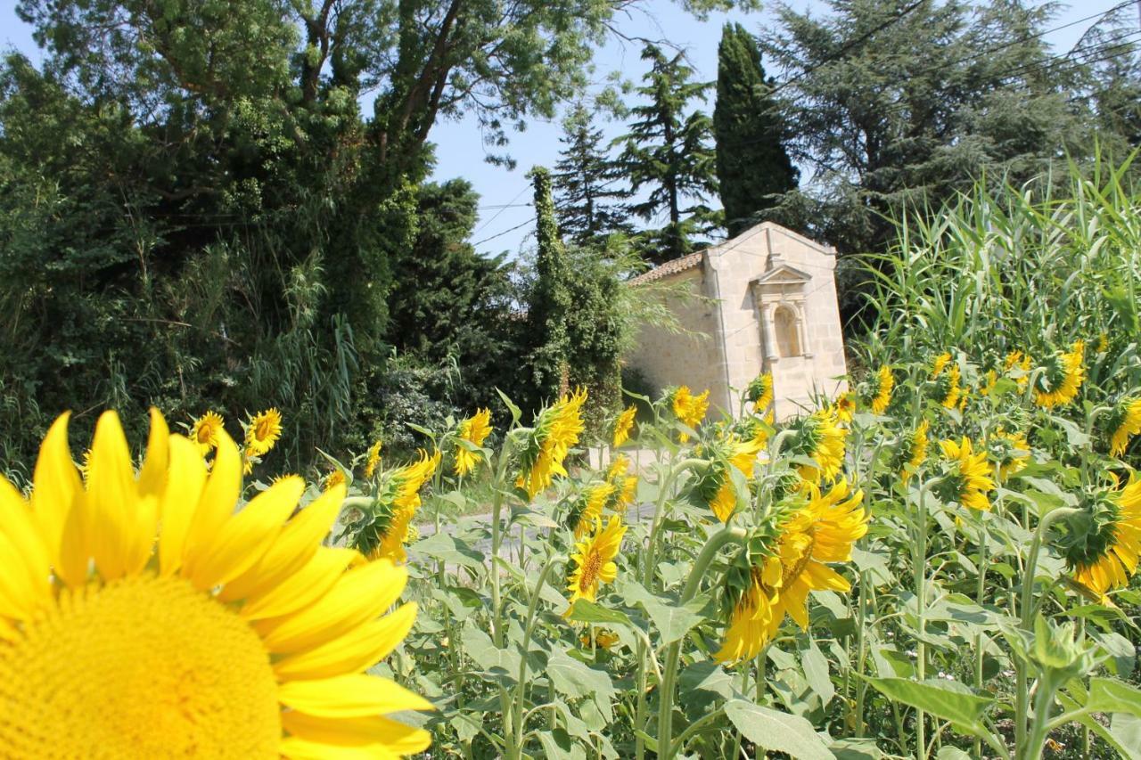 Mas De La Chapelle Sainte-Elisabeth Villa ตาฮาสคอง ภายนอก รูปภาพ
