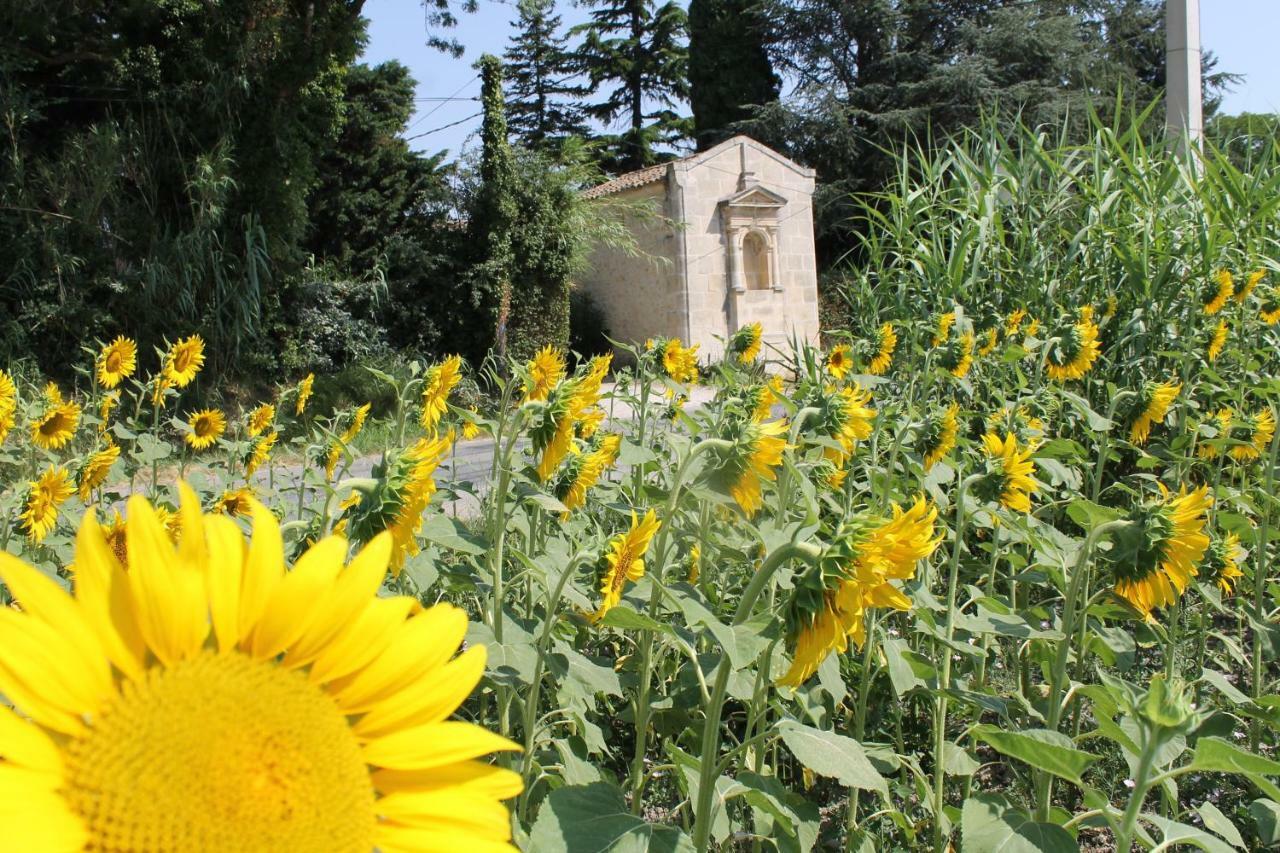 Mas De La Chapelle Sainte-Elisabeth Villa ตาฮาสคอง ภายนอก รูปภาพ